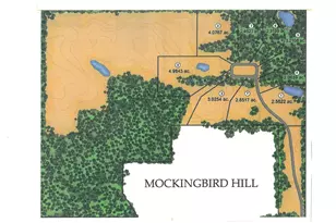 Lot 5 Mockingbird Ln, Granville, OH 43023 - Photo 11