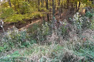 Lot 5 Mockingbird Ln, Granville, OH 43023 - Photo 23