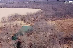 8712 Martinsburg Rd, Mount Vernon, OH 43050 - Photo 13