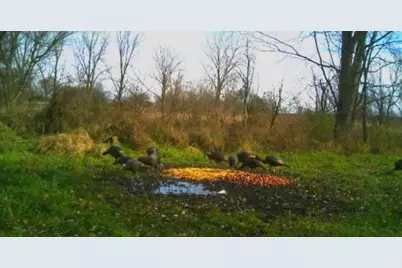 0 Oh-296, Urbana, OH 43078 - Photo 27