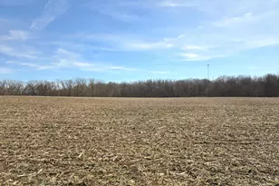 0002 County Road 19, Marengo, OH 43334 - Photo 5