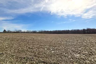 0003 County Road 19, Marengo, OH 43334 - Photo 9