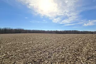 0003 County Road 19, Marengo, OH 43334 - Photo 11