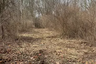 0 Van Winkle Rd, Frazeysburg, OH 43822 - Photo 5