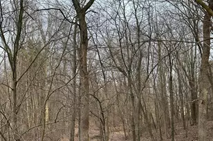 0 Van Winkle Rd, Frazeysburg, OH 43822 - Photo 7