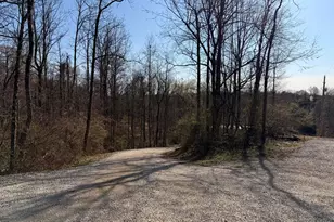 7285 Bohemian Rd SE, Corning, OH 43730 - Photo 39