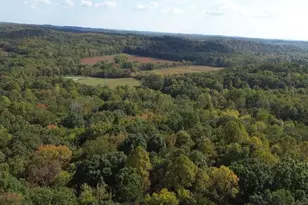 66220 State Route 56, New Plymouth, OH 45654 - Photo 57