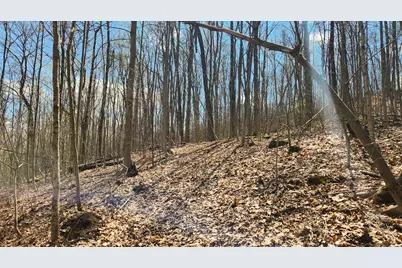 0 Pike Lake Rd Road #(Tract 2 Pike Lake Getaway), Bainbridge, OH 45612 - Photo 33