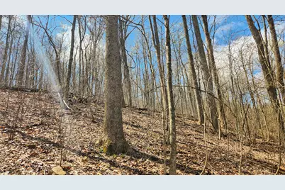 0 Pike Lake Rd Road #(Tract 2 Pike Lake Getaway), Bainbridge, OH 45612 - Photo 35