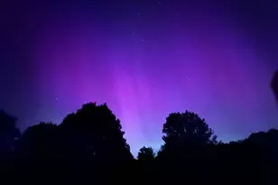 1400 Charolais Dr, Mansfield, OH 44903 - Photo 69