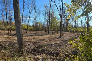 3480 Ostrander Rd, Ostrander, OH 43061 - Photo 53