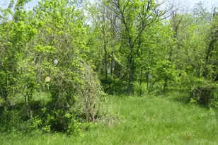 6800 Center Rd, Philo, OH 43771 - Photo 23