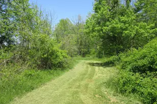 6800 Center Rd, Philo, OH 43771 - Photo 27