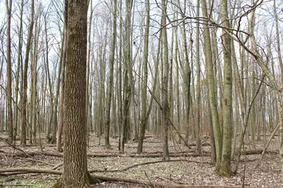 0 Carr Road, Ostrander, OH 43061 - Photo 19