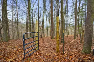 25755 Amerine Rd, South Bloomingville, OH 43152 - Photo 13