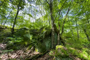 140 Sycamore St, Glouster, OH 45732 - Photo 19