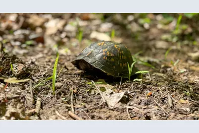 140 Sycamore Street, Glouster, OH 45732 - Photo 25