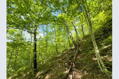 140 Sycamore Street, Glouster, OH 45732 - Photo 11