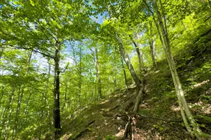 140 Sycamore St, Glouster, OH 45732 - Photo 11