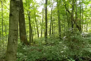 30650 State Route 739, Richwood, OH 43344 - Photo 15