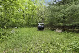 11250 Grass Run Rd, New Marshfield, OH 45766 - Photo 7