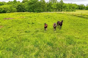 10057 State Route 776, Jackson, OH 45640 - Photo 57