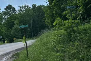 58393 N Branch Rd, South Bloomingville, OH 43152 - Photo 23