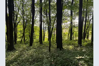 0 King Road, Howard, OH 43028 - Photo 1
