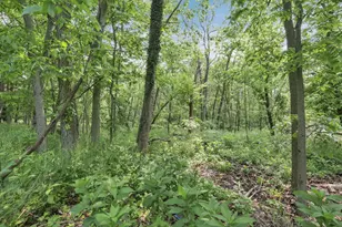 498 Marion Manor Woods, Newark, OH 43055 - Photo 59