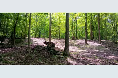 0 Mulberry Street NE #(Lot N Woods Flint Ridge), Newark, OH 43055 - Photo 21
