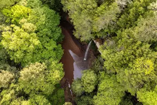 26975 Chapel Ridge Rd, South Bloomingville, OH 43152 - Photo 23