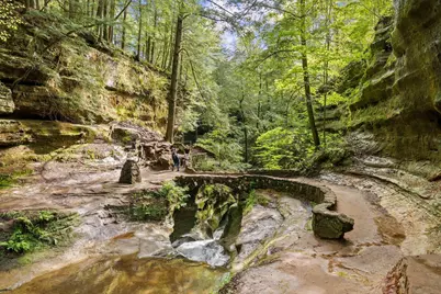 26975 Chapel Ridge Road, South Bloomingville, OH 43152 - Photo 25