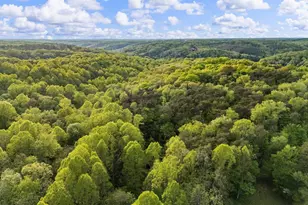 26975 Chapel Ridge Rd, South Bloomingville, OH 43152 - Photo 91