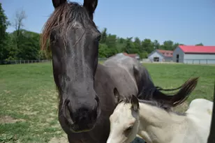 10156 Marysville Rd, Ostrander, OH 43061 - Photo 43