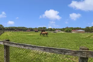 10156 Marysville Rd, Ostrander, OH 43061 - Photo 89