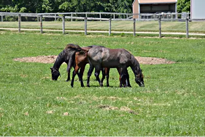 10156 Marysville Road, Ostrander, OH 43061 - Photo 99
