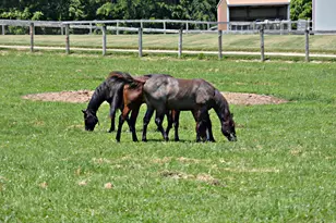 10156 Marysville Rd, Ostrander, OH 43061 - Photo 99