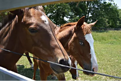 10156 Marysville Road, Ostrander, OH 43061 - Photo 101
