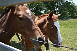10156 Marysville Rd, Ostrander, OH 43061 - Photo 101
