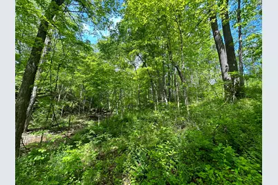 0 Buchanan Road, Waverly, OH 45690 - Photo 9