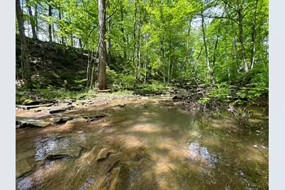 0 Buchanan Road, Waverly, OH 45690 - Photo 11