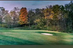 8699 Greenburst Ct, Sunbury, OH 43074 - Photo 53