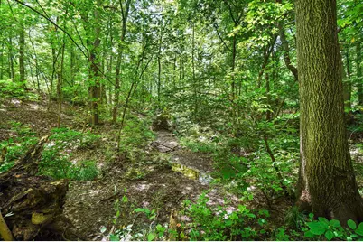 1451 Brittingham Lane, Powell, OH 43065 - Photo 133