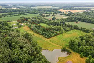 6159 Co Rd 191, Marengo, OH 43334 - Photo 5