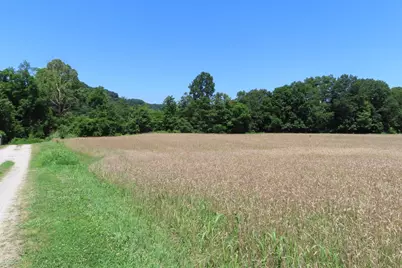 485 Springer Road, Chillicothe, OH 45601 - Photo 29