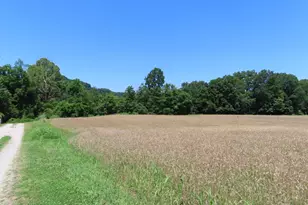 485 Springer Rd, Chillicothe, OH 45601 - Photo 29