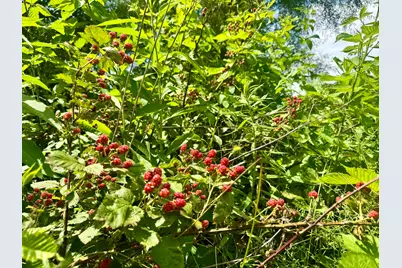 0 Indian Hills Road, Mount Vernon, OH 43050 - Photo 17