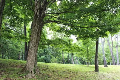 8870 Olentangy River Road, Delaware, OH 43015 - Photo 61