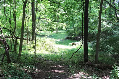 8870 Olentangy River Road, Delaware, OH 43015 - Photo 55