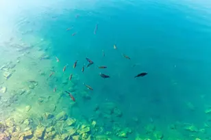 6247 State Rte 61, Shelby, OH 44875 - Photo 65